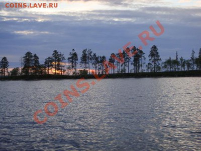 ФОТО - просто фото. Те что получились удачными. - DSC05541.JPG