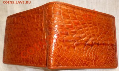 Бумажники и ремни из кожи Крокодила ! - P1040621.JPG