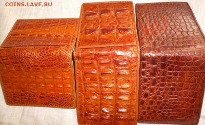 Бумажники и ремни из кожи Крокодила ! - P1040636.JPG