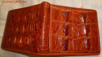 Бумажники и ремни из кожи Крокодила ! - P1040634.JPG