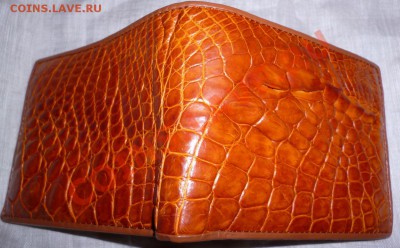 Бумажники и ремни из кожи Крокодила ! - P1040643.JPG