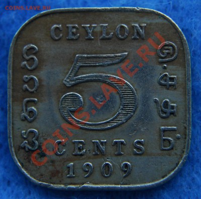 БРИТАНСКИЙ ЦЕЙЛОН - 5 центов 1909 - Эдвард VII - до 13 июля - 116
