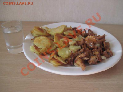 Любители "тихой охоты" есть? Все сюда :) - Грибы_2013_008