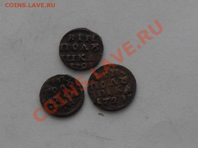 полушки петра1 - SDC15275.JPG