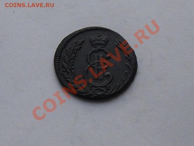 1 коп.сибирь до 10.07.13г - SDC15252.JPG