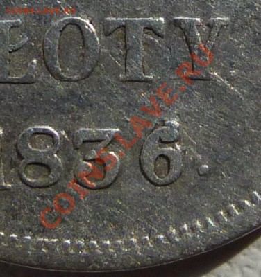 1 zloty 1836 - P1000753-1.JPG