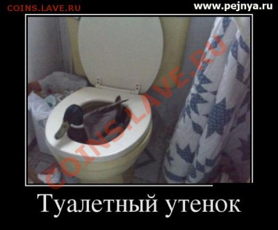 юмор - tunk