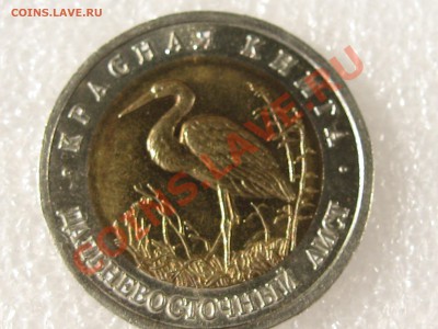 КК 93. ДАЛЬНЕВОСТОЧНЫЙ АИСТ С 200 Р  ДО 15.07 В 22.00 - IMG_0088.JPG