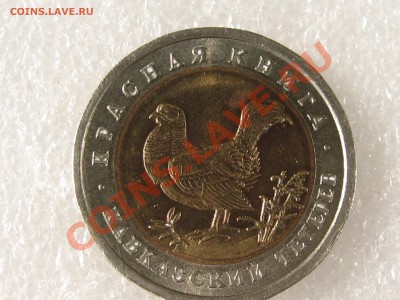 КК 93. КАВКАЗСКИЙ ТЕТЕРЕВ С 200 Р ДО 15.07 В 22.00 - IMG_0091.JPG