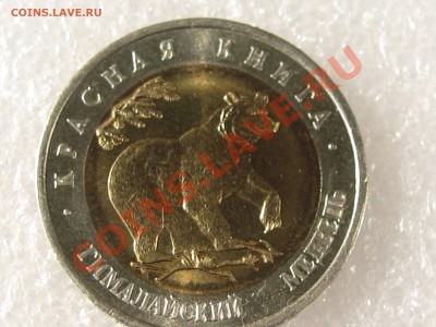 КК 93. ГИМАЛАЙСКИЙ МЕДВЕДЬ С 200 Р ДО 15.07 В 22.00 - IMG_0093.JPG