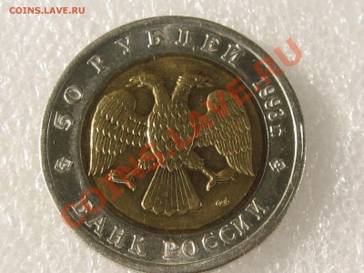 КК 93. ЧЕРНОМОРСКАЯ АФАЛИНА С 200 Р ДО 15.07 В 22.00 - IMG_0096.JPG