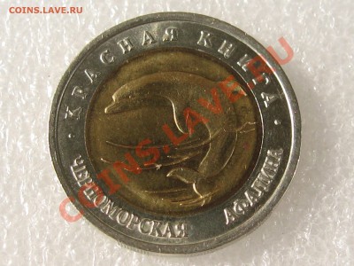 КК 93. ЧЕРНОМОРСКАЯ АФАЛИНА С 200 Р ДО 15.07 В 22.00 - IMG_0095.JPG