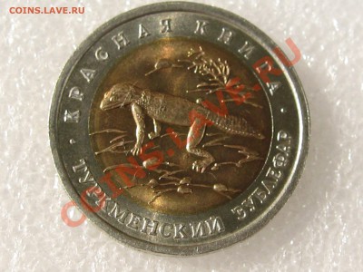 КК 93. ТУРКМЕНСКИЙ ЗУБЛЕФАР С 200 Р ДО 15.07 В 22.00 - IMG_0097.JPG