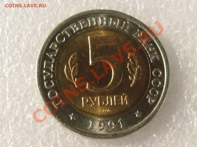 КК 91. ВИНТОРОГИЙ КОЗЁЛ С 200 Р ДО 15.07 В 22.00 - IMG_0104.JPG