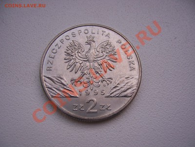 Польша 2 злотых 1995 Сом до 22.00 мск 12.07.13 - 100_5850.JPG