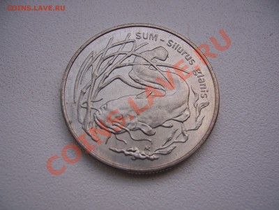 Польша 2 злотых 1995 Сом до 22.00 мск 12.07.13 - 100_5849.JPG