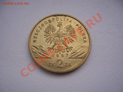 Польша 2 злотых 1997 Жук-Рогач до 22.00 мск 12.07.13 - 100_5846.JPG