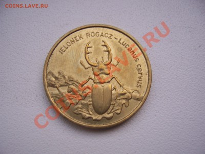 Польша 2 злотых 1997 Жук-Рогач до 22.00 мск 12.07.13 - 100_5844.JPG