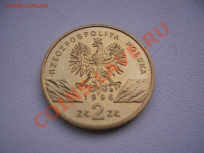 Польша 2 злотых 1996 Ёж до 22.00 мск 12.07.13 - 100_5843.JPG