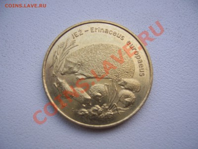 Польша 2 злотых 1996 Ёж до 22.00 мск 12.07.13 - 100_5842.JPG