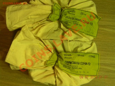 СОЧИ-  2012(талисманы) 2013(лучик и снежинка) - DSCN3422.JPG
