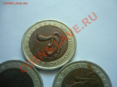 Красная книга набор 1992 Оценка - КК2.JPG