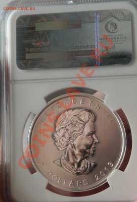 5$ Канада 2013 Серебро в NGC ms 68 - P1010612.JPG