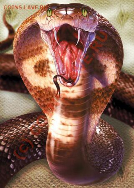 Ваш nickname - KingCobra