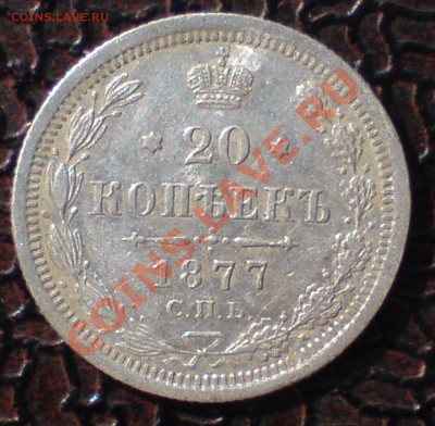 20 копеек 1877 СПБ-НФ, Биткин # 229 (R) - DSC00001_cr