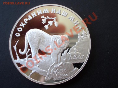 3 рубля Сохраним наш мир -Тигр-19.07.13-22.00 Мск. - CIMG0548.JPG