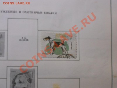 Альбом почтовых марок. - DSCN2057.JPG