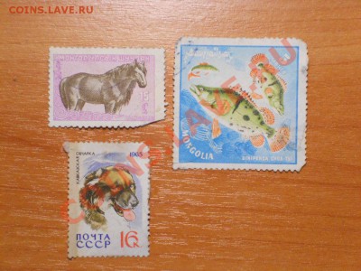 Альбом почтовых марок. - DSCN2059.JPG