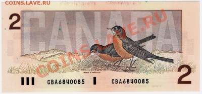 Y25 Канада 2$ 1986 UNC до 21.07 до 22°° - Y25 Canada 2$ 1986_2