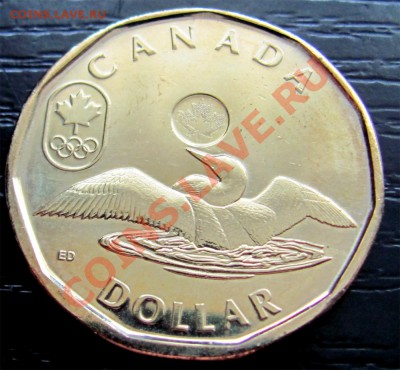 Y36 Канада 1$ 2012 Lucky Loonie до 21.07 в 22°° - Y36 1$ 2012_2