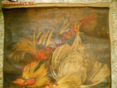 Холст без рамки - натюрморт, петухи (масло, 60 на 60) - DSCN2936.JPG