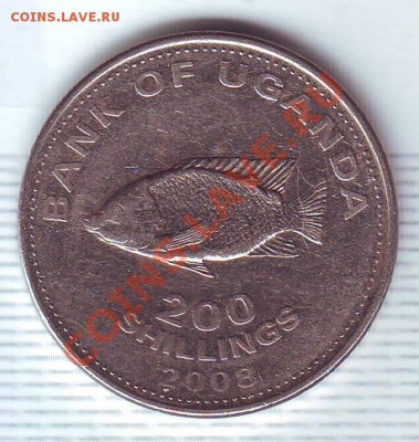 Уганда.200 Шиллингов.2008.Рыба. до 22 Июля - 19980039.JPG