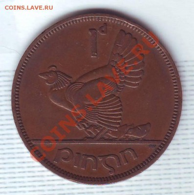 Ирландия.Пенни.1952.Курица. до 24 июля - 19520044.JPG