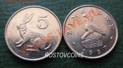 Распродажа остатков иностранных монет - 093. ЗИМБАБВЕ 5 центов 1997 г. ЗАЯЦ (оборот) = 50.JPG