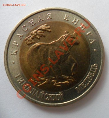 Красная Книга Гималайский Медведь до 21.07.13 в 21.00 по МСК - SAM_0925.JPG