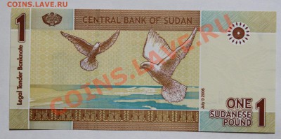 1 Фунт 2006  Судан до 25.07.13 22мск - Sudan_1F_2006_1