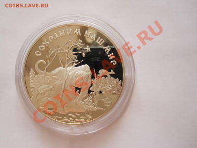 25 рублей Амурский тигр 1996 26.07 22:00 - IMG_7947.JPG
