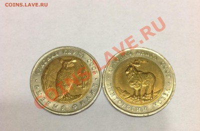 Красная книга 1991г до 24.07.13 22:00 МСК - 222.JPG
