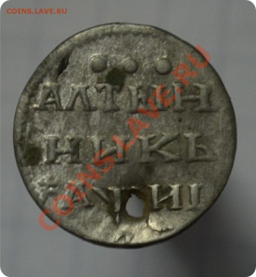 алтын - DSC_1251.JPG