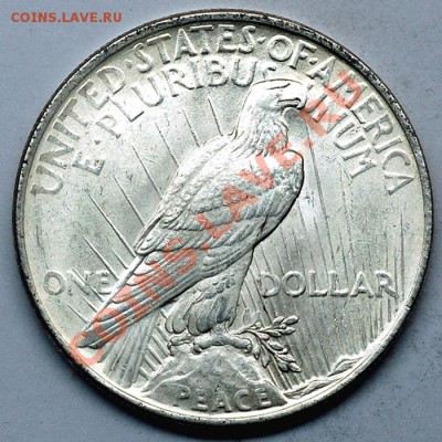США_серебряный "Peace Dollar" 1923; до 21.07_22.02мск - 6024