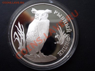 Красная Книга 1993 г.-Филин, Тигр, Козёл-26.07.13-22.00 Мск. - CIMG0615.JPG