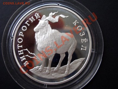 Красная Книга 1993 г.-Филин, Тигр, Козёл-26.07.13-22.00 Мск. - CIMG0619.JPG