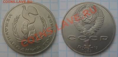 Год мира "Шалаш" до 24.07 22-00 Мск - DSC08840
