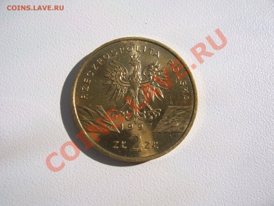 Польша 2 злотых 1997 Жук-Рогач до 22.00 мск 25.07.13 - 100_5941.JPG