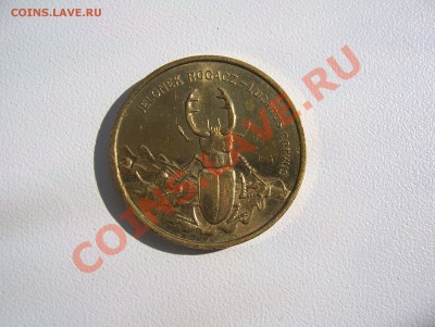 Польша 2 злотых 1997 Жук-Рогач до 22.00 мск 25.07.13 - 100_5940.JPG