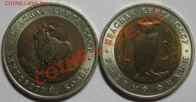 КРАСНАЯ КНИГА 1991 до 26 июля 22-00 - IMG_5519